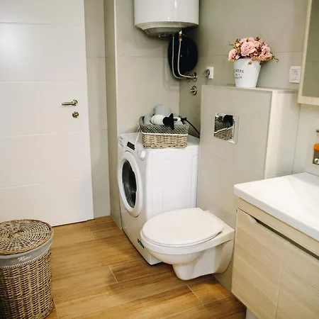 Koviljacki Raj Apartment Banja Koviljaca